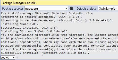 Pacakage Manager Console